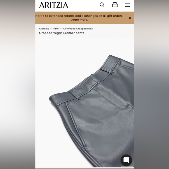command pants -aritzia - Picture 1 of 5